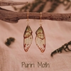 Puriri/Gold