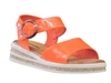 Orange Crush